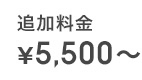 追加料金¥5,500〜