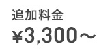 追加料金¥3,300〜